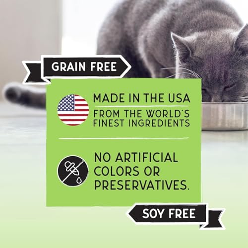 Image of Blackwood Bounty Dry Cat Food, Whitefish & Lentil Recipe for All Life Stages, 10 Pound Bag, High Protein, Grain Free