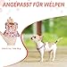 SlowTon Hundegeschirr mit Leine, No-Pull leichtes weiches Wildleder-Welpengeschirr mit Blumenmuster und Schnappschnalle, verstellbares Geschirr Hund für kleine und mittelgroße Hunde