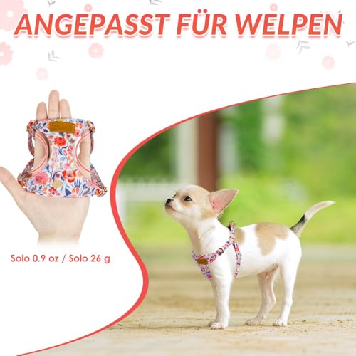 SlowTon Hundegeschirr mit Leine, No-Pull leichtes weiches Wildleder-Welpengeschirr mit Blumenmuster und Schnappschnalle, verstellbares Geschirr Hund für kleine und mittelgroße Hunde