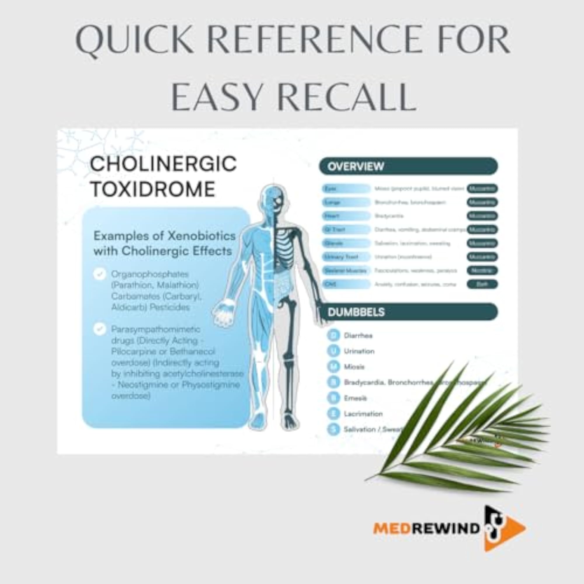 Toxicology Flashcards & Study Aid Book