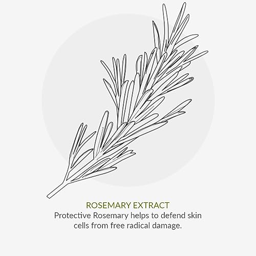 Green People Scent Free Deodorant 75ml | Natural & Organic Sensitive Deodorant | Gentle Deodorant for Men & Women with Sensitive Skin | Unperfumed, Paraben Free & Ethanol Free | Cruelty Free & Vegan - Image 7