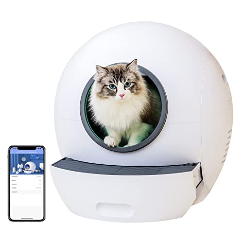 7 Unique Tech Finds for Pet Lovers