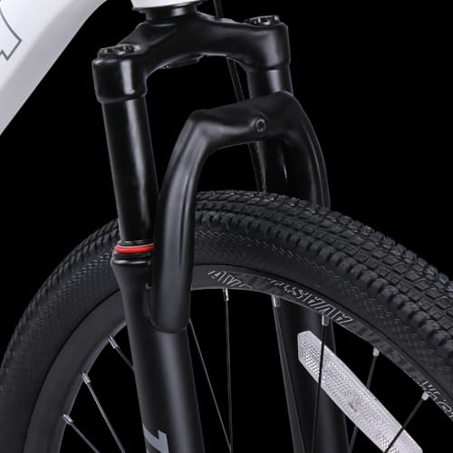 AVASTA Thrax 24 Inch MTB