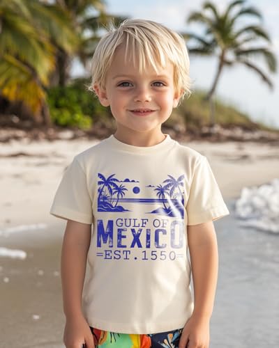 Gulf of Mexico T Shirt for Toddler Boys Girls, Kids Stay Salty and Resist T-Shirts 1550, 2-8T Short Sleeve Tee2