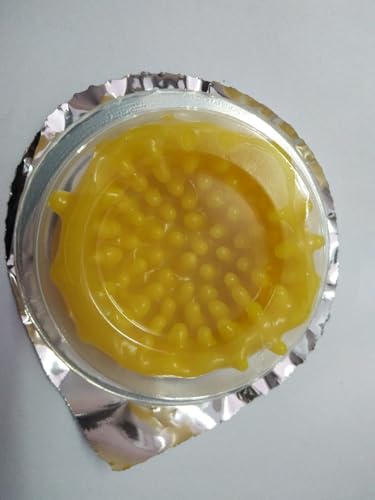 Image of Goorgasm Premium Latex Condoms, Extra Dotted (Pack of 2)
