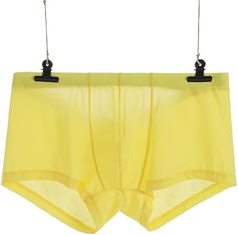 Mens Thong Underwear Ultra-Thin Ice Silk Transparent T Panties Low Rise Boxer Pouch Brief Breathable Bikini Short
