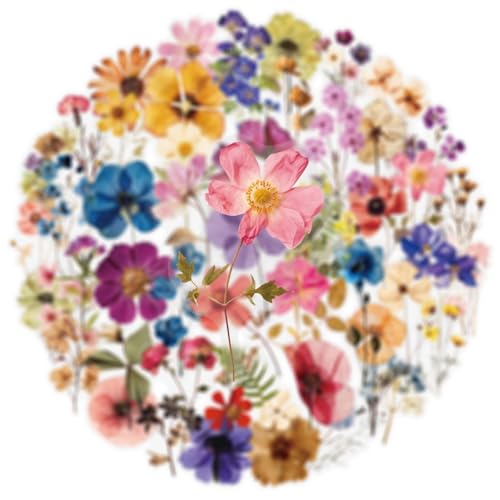 Image of Transparent Flora Scrapbook Stickers Aesthetic Flowers Stickers(50) | Transparent & Waterproof Sticker for Scrapbook Journal Water Bottle Kindle, DIY Crafts, Party Supplies