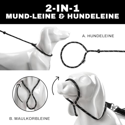 Arblina Retrieverleine mit Zugstopp, Retrieverleine für Kleine/Mittlere/Große Hunde mit Doppelten Griffen, Training Hundeleine mit Hi-vis Licht-Reflektierendem Design, Slip Lead for Dog, Schwarz, 1.3m