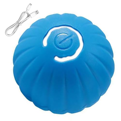 ���p��������{�[�� | ���� Type-C �[�d�� �X�}�[�g�p�i LED���C�g�t��,���^���p�������� | �������O�V�� �g���[�j���O �^�� ���_�h�� ��V�~�����[�V���� ���V�� ���s