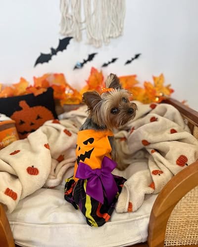 image for Fitwarm Halloween Pumpkin Dog Dress, Funny Dog Halloween Costumes, Dog