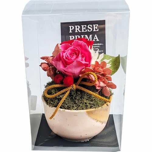 L[t(Q-FLA) vU[uh AW PK/RE P[X [Y ̓ Mtg 蕨 831386