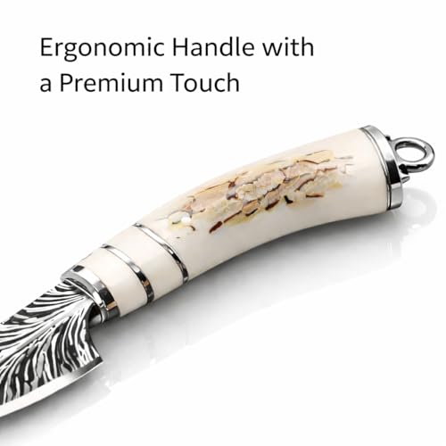 Image of Wizbiz Stainless Steel Boning Knife for Kitchen with Sheath - Curved Blade for Meat Trimming & Fish Fillet - Ergonomic Handle Utility Knife