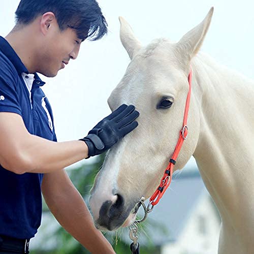 Pastille en cuivre à double articulation en acier inoxydable avec connecteur en laiton siliconé – Accessoire robuste de qualité supérieure pour l'entraînement équestre et le cheval