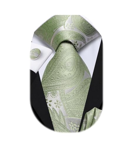 Dubulle Mens Paisley Striped Tie WOVEN Necktie for Men and Handkerchief Cufflinks Set Wedding Formal Business