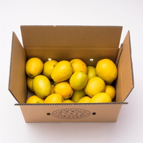 【指定日不可】堀内果実園 吉野本かりん 約10kg 11月上旬〜11月下旬出荷