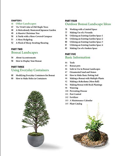 Miniature Japanese Gardens: Beautiful Bonsai Landscape Gardens for Your Home