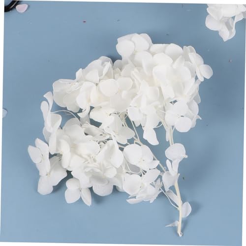 Alipis 1pack pétalos secos de hortensia blanca para manualidades miniatura 3
