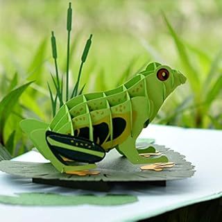 CUTPOPUP Frog Card Pop Up, 3D Birthday Card For Daughter, Son, Kids, Nephew, Niece, Mothers Day Card- Wonderful Gift For Kids, Children, Teenager, Frog Lovers On Birthday, Greeting, Christmas UK