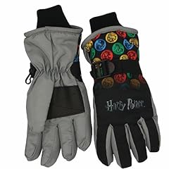 Ski Gloves- Grey