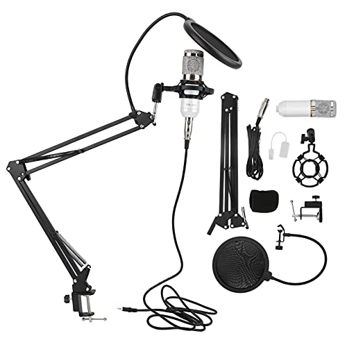 Circuito Microfono Dinamico