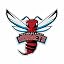Delaware State Hornets Primary