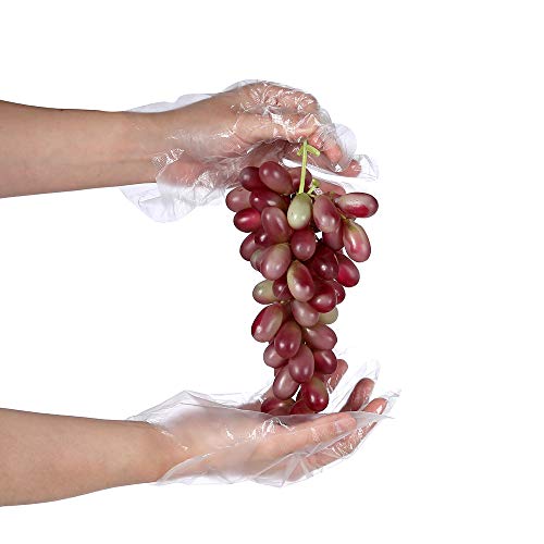 500 PCS Plastic Disposable Gloves, Transparent, One Size Fits Most,by Brandon-super