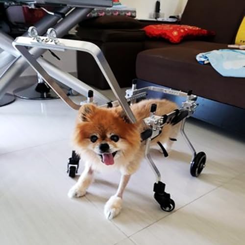 Adjustable Dog Front Legs Wheelchair & Stroller - Supports Mobility for Dogs with Front Leg or Hip Issues, Lightweight & Durable Pet Mobility Aid