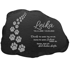 Mtb More Energy Pfotenweg Gedenktafel 33x22 cm