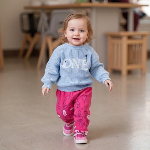 Baby Boy Girl 1st Birthday Outfit One Silly Goose Chunky Knit Sweater Knitted Shirt Sweatshirt Fall Winter Clothes4