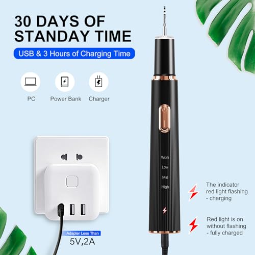 Rechargeable Plaque Remover with 4 Heads