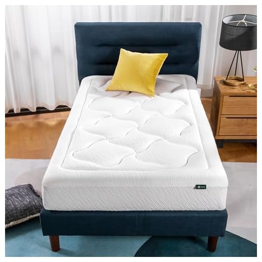 Zinus 10 Inch Cloud Memory Foam Mattress / Pressure Relieving / Plush Feel / Bed-in-a-Box / OEKO-TEX and CertiPUR-US Certified, Twin