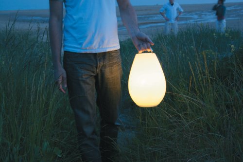 Oxo Candela Luau : Amazon.ae: Lighting