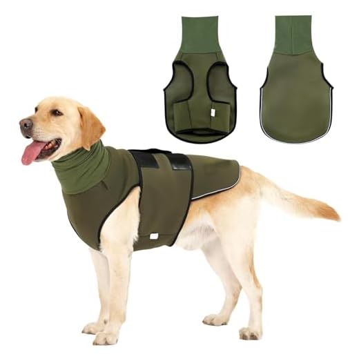 Hundeanxiety-Jacke mit Beruhigungs-Kapuze