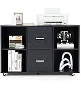 SILKYDRY File Cabinet with 2 Drawers and 4 Compartments, Lateral Mobile Filing Cabinet with 5 Whe...
