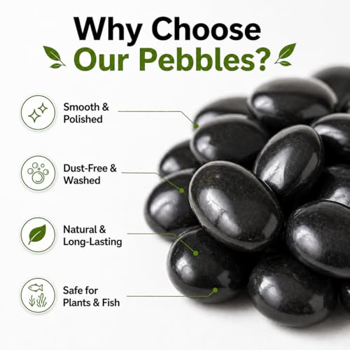 Image of Go Garden Big Black Pebbles Stones for Garden Decoration | Natural Polished Decorative Pebbles for Plants,Aquarium, Fish Tank, Lawn & Home Decor | Premium Large Size Stones (Black) PACK OF 2KG