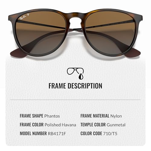 Ray-Ban RB4171F ERIKA COLOR MIX Phantos Shaped Sunglasses for Men & Women with Official RAYBAN Eyewear Kit3