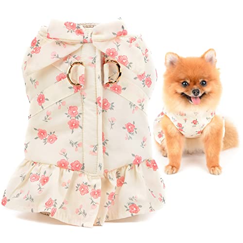 SMALLLEE_LUCKY_STORE ybg   H ~ ̎q ԕȐs[X wJt[Xnh ohdO^^q L  m hbOEFA̕ʐ^BeEѕی앞`Uo,s