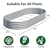 zizin 2 Pack Galvanized Raised Garden Bed Metal Oval Raised Garden Beds Outdoor Planter Box for Vegetables (8x4x1FT, Silver) #1