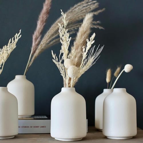 Carrot's Den - Set of 6 White Mini Ceramic Vases...