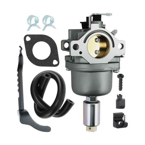 Carburateur pour St 699109 solution contre les fuites essence et calages 791888