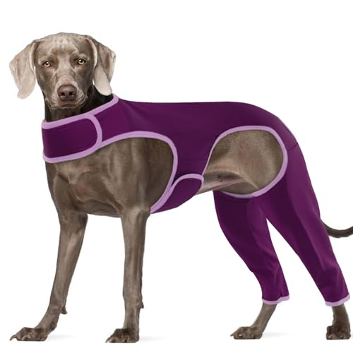 Hjyokuso Combinaison De Convalescence pour Chiens, Body Chien Post Operatoire Femelle Male, Body pour Chien avec Pattes Arrière, Body Chien Anti Lechage, Alternative à La Collerette Chien