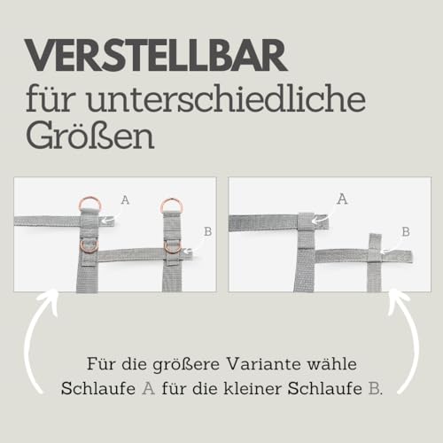 pawINAYA® Halfter für Flexi & Co. | Flexi Giant + ONE | inkl. Umhängegurt für gängige Modelle ohne Flexi - SCHWARZ - SILBER