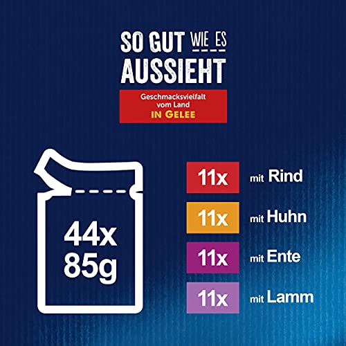 Felix Così Come Sembra Varietà Di Gusti Dal Paese - 5