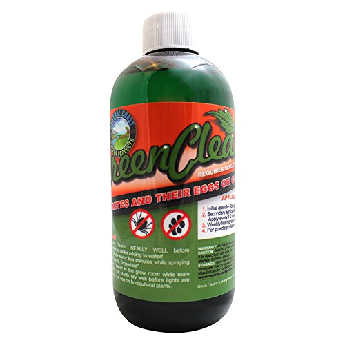 Green Cleaner 8 oz