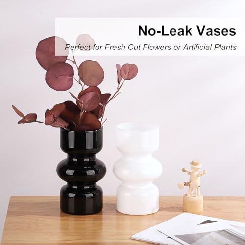 Vase hydroponique en verre noir VanEnjoy pour masquer l'eau et stabiliser les fleurs