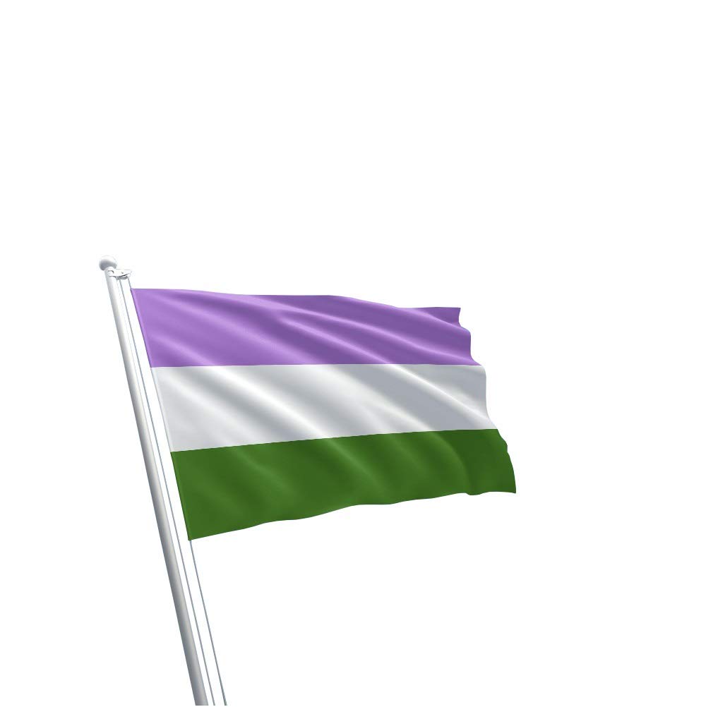 Genderqueer Pride Flag Rainbow Gender Queer LGBTQ+ Non Binary Parade March Wall Large (90cm x 150cm)