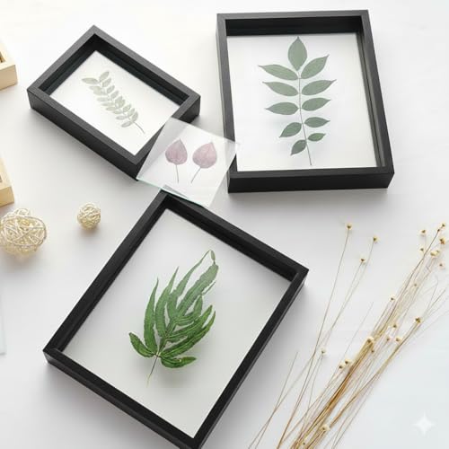 Image of Desi Rang Wooden Frame for Wall Decor Table top Hanging Any Green or dry plant Leaf Picture Photo DIY Gift Home decoration (Black,Sqr,12x12 inch,without leaf)