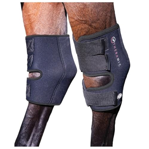 Professional's Choice Theramic Hock Boots | May Help to Increase Blood Circulation, Reduce Inflammation and Ease Pain |Sold in Pairs | Large