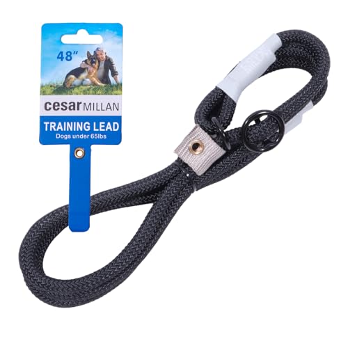 スリップリード シーザーミラン Cesar Millan【正規品】 長さ120cm 太さ1-1.2cm 【世界的 ドッグトレーナー 監修】犬 引っ張り防止 散歩 トレーニング 中型犬 大型犬 (ブラック, レギュラー【小・中型犬用】目安30kg未満)