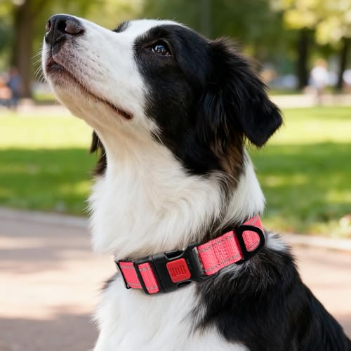 Image of Taglory Reflective Dog Collar for Medium Dogs, Soft and Safe for Daily Walk